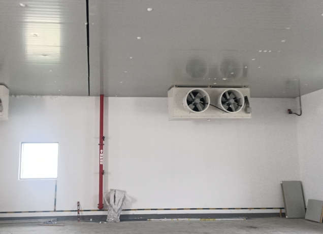 兩相電可以裝冷庫(kù)嗎？家用商用小功率冷庫(kù)用電方案全解析