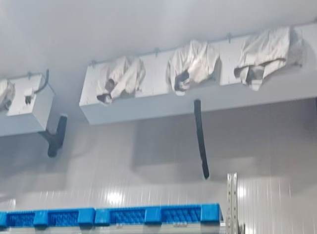 地下冷庫(kù)如何建設(shè)呀？從選址到運(yùn)營(yíng)的全流程實(shí)用指南