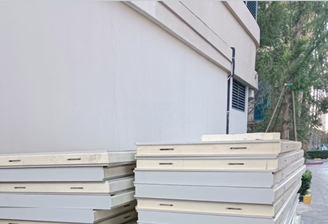 冷庫(kù)保鮮板栗能放幾天？溫度濕度對(duì)存放時(shí)長(zhǎng)的影響全解析