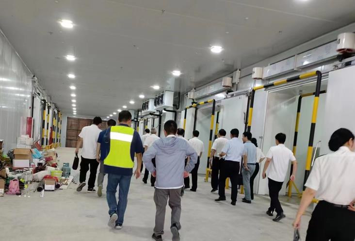 冷庫一般多少一平方？從造價到選型的全流程拆解